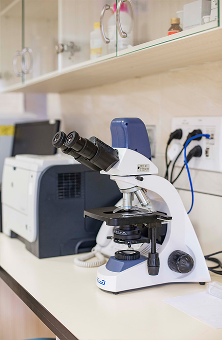 {"en":"Equipment photo 22","es":"Equipamiento foto 22","fr":"\u00c9quipement photo 22"}